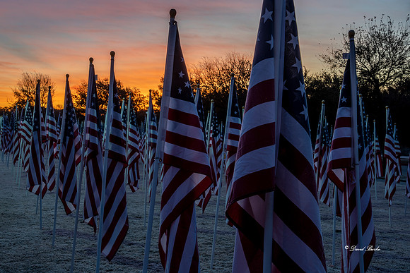 NTFOH 11-13-19-9-HDR