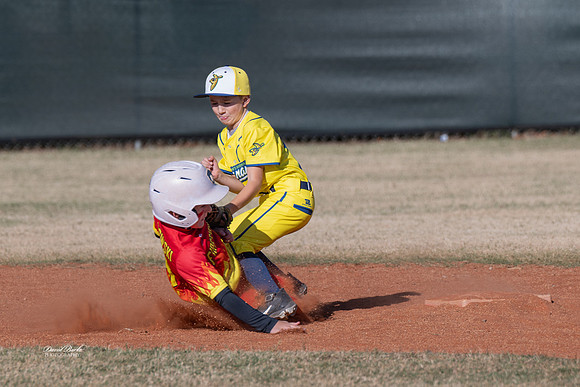 Savana Bananas Oct 2024-12