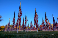 Field of Honor 2020-14