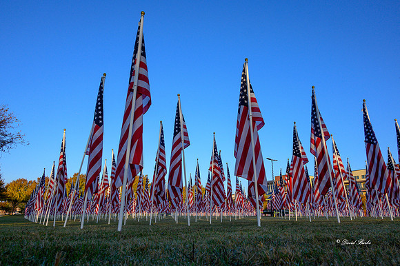 Field of Honor 2020-14