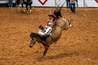 Stock Show 2019-21