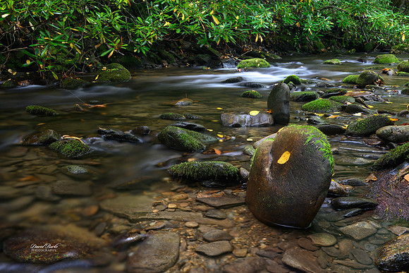 GSMNP 2024-54
