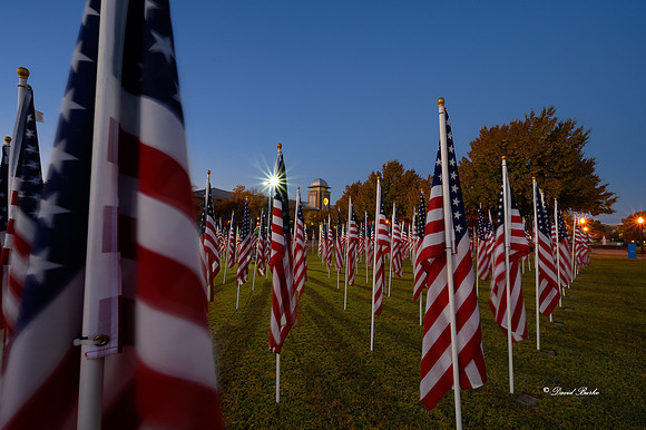 Field of Honor 2020-1-Edit
