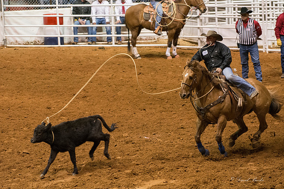 Stock Show 1-29-16-56