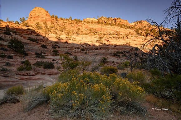Zion NP Oct 2020-16