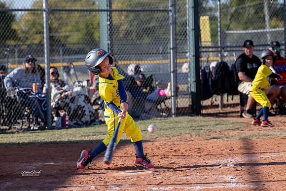 Savana Bananas Oct 2024-17