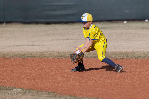 Savana Bananas Oct 2024-15