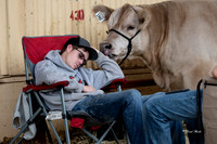 Stock Show 2019-11
