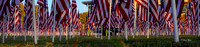 Field of Honor 2020-15-2