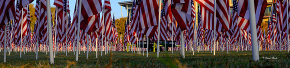 Field of Honor 2020-15-2