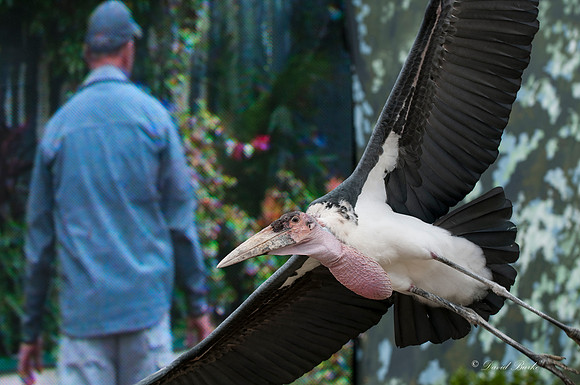 _DSC3202