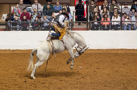 Stock Show Rodeo 2013-42