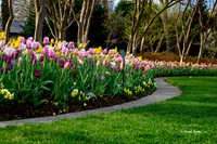 Dallas Arboretum 3-19-21-19-Edit