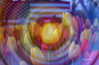 Dallas Arboretum 3-19-21-52-Edit