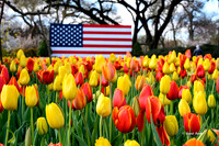 Dallas Arboretum 3-19-21-56