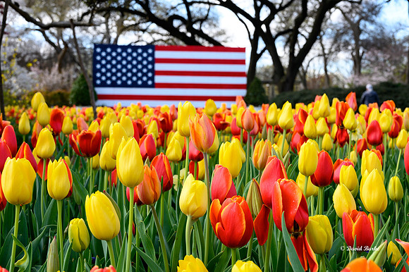 Dallas Arboretum 3-19-21-56