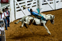 Stock Show 1-27-17-16