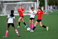 Fillies Oct 2025