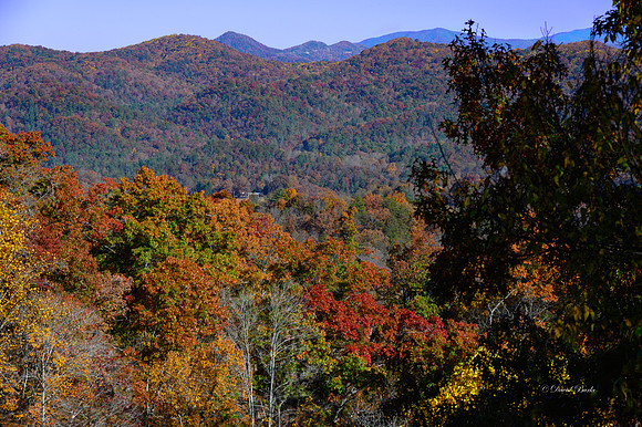 GSMNP 2022-2