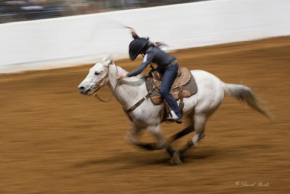 2014 Stock Show Rodeo-167