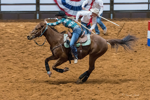 Stock Show 2018-47