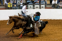 Stock Show 1-27-17-7