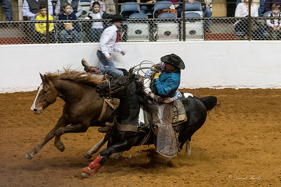 Stock Show 1-27-17-7