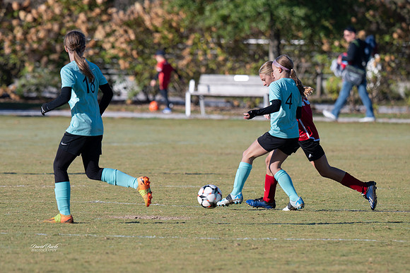 AFA Fillies Oct 2024-3