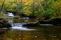Fall Color 2019-276
