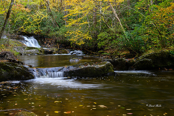 Fall Color 2019-276