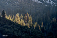 Yosemite Oct 2025-57