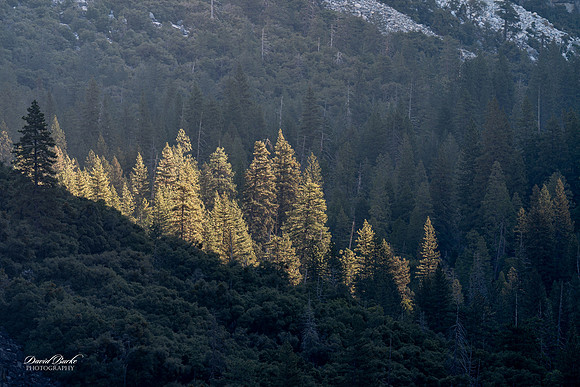Yosemite Oct 2025-57