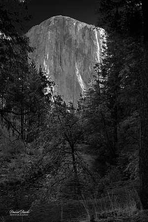 Yosemite Oct 2025-61-3