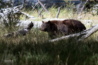 Yosemite Oct 2025-90-Edit