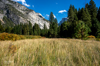 Yosemite Oct 2025-71