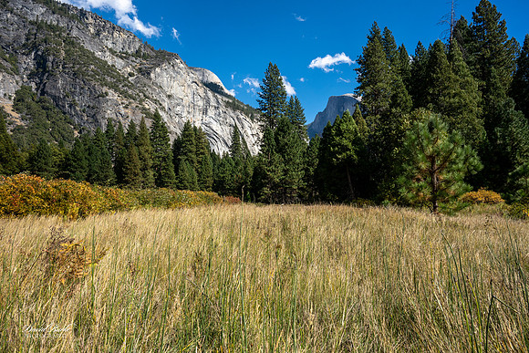 Yosemite Oct 2025-71