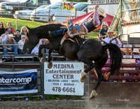 Hamel Rodeo-25