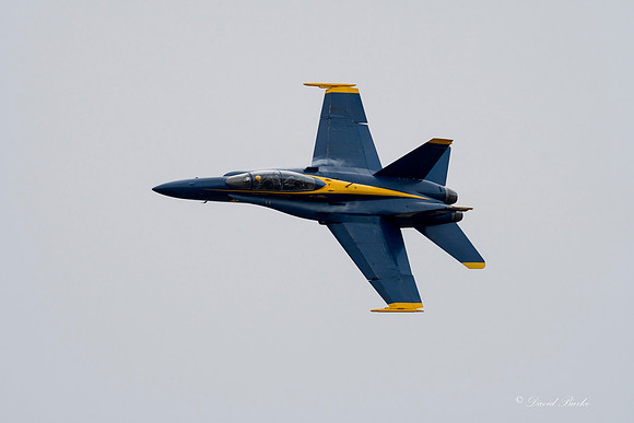 Alliance Air Show 2017-41