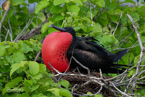 Galapagos Islands 2025-107