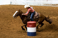 2014 Stock Show Rodeo-86