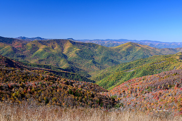 Fall Color 2019-47