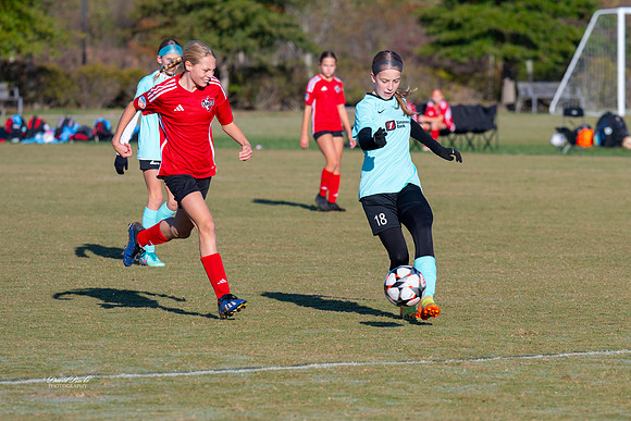 AFA Fillies Oct 2024-20