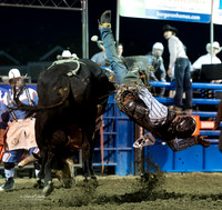 20260709-Hamel Rodeo 2026-74