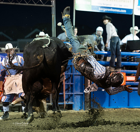 20260709-Hamel Rodeo 2026-74