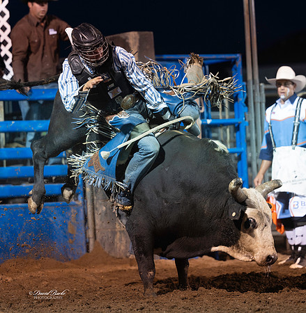 20260709-Hamel Rodeo 2026-73