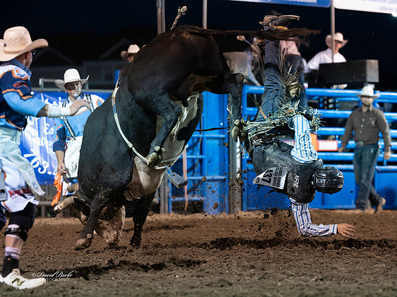 20260709-Hamel Rodeo 2026-76