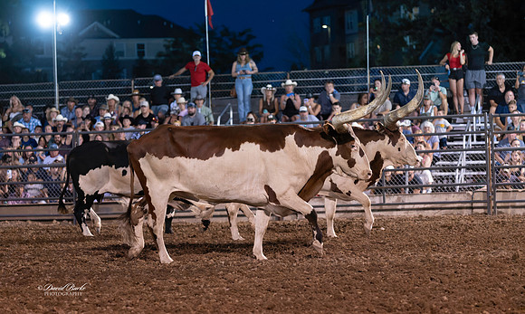 20260709-Hamel Rodeo 2026-65