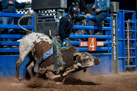 20260710-Hamel Rodeo 2026-200