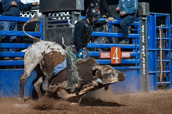 20260710-Hamel Rodeo 2026-200