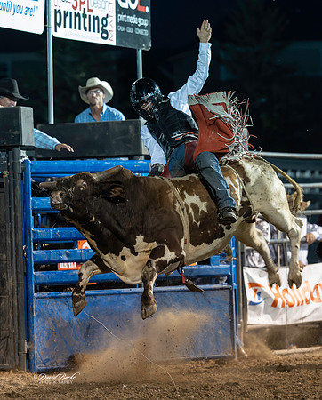 20260710-Hamel Rodeo 2026-205